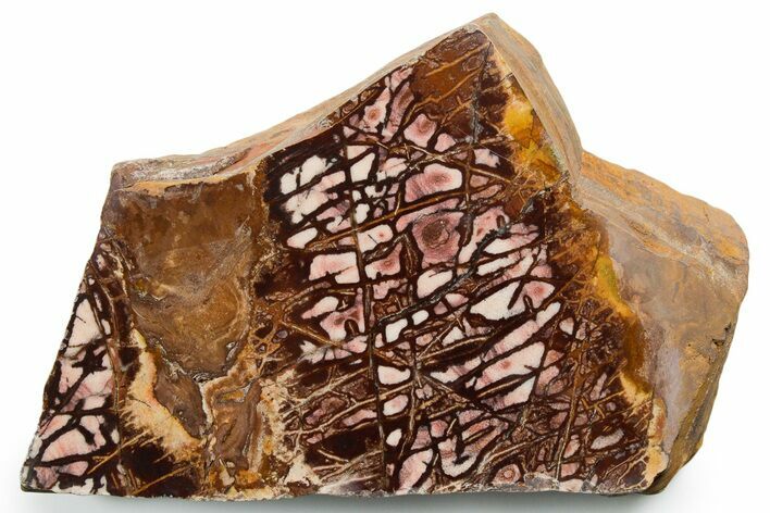 Polished Outback Jasper Section - Western Australia #353693